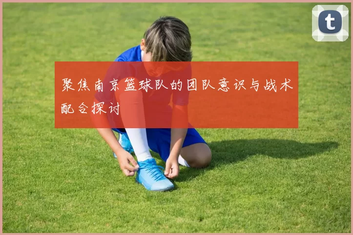 聚焦南京篮球队的团队意识与战术配合探讨