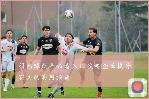 羽毛球新手必看入门攻略全面提升实力的实用指南